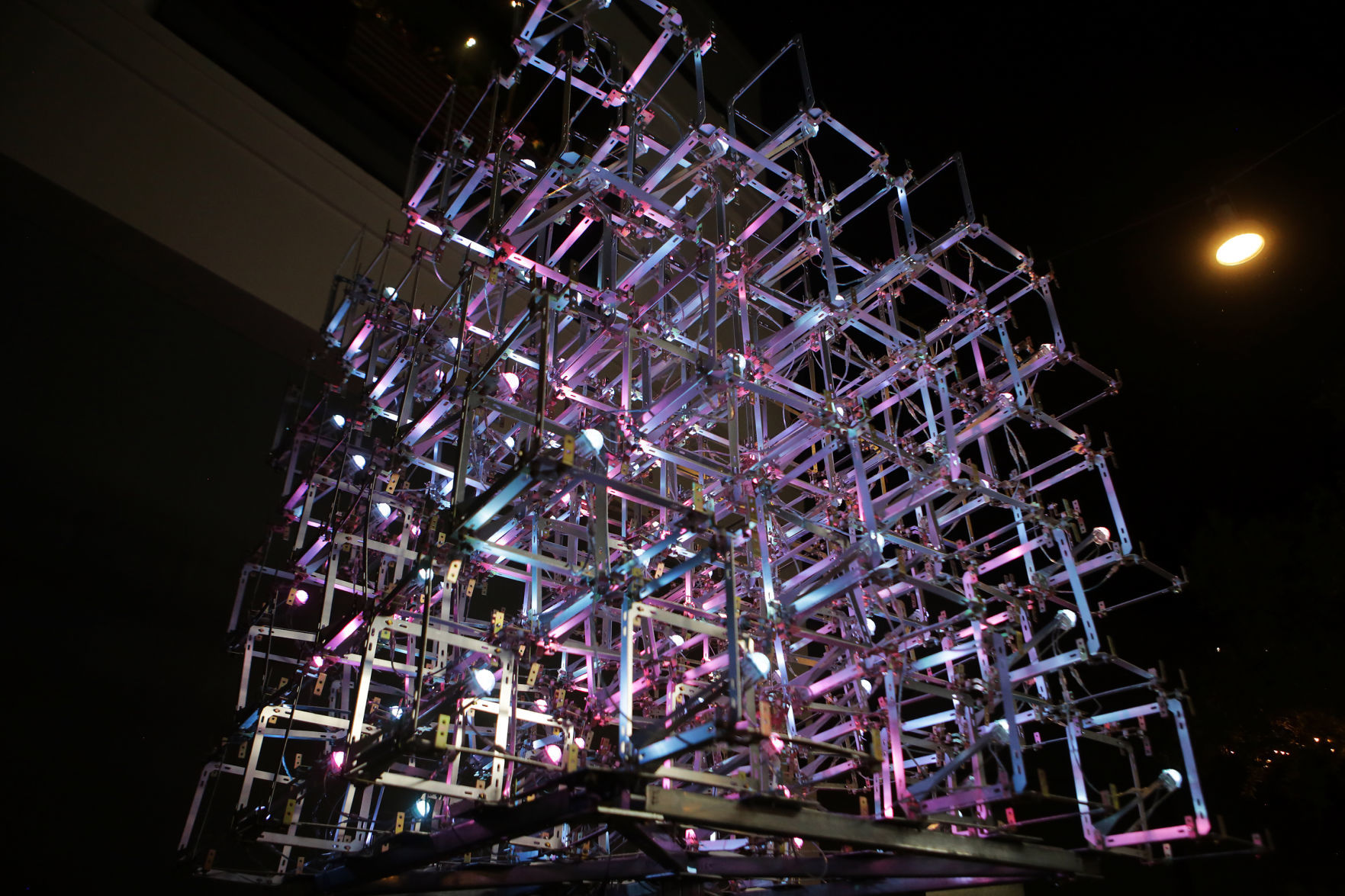Napa Lighted Art Festival 2019